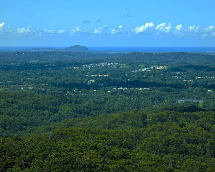 Picture 6 for Activity From Brisbane: Day Trip to Noosa, Eumundi Markets