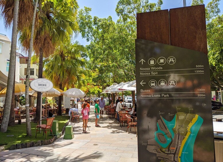 Picture 10 for Activity From Brisbane: Day Trip to Noosa, Eumundi Markets