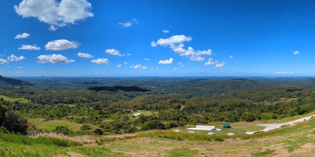 Picture 5 for Activity From Brisbane: Day Trip to Noosa, Eumundi Markets