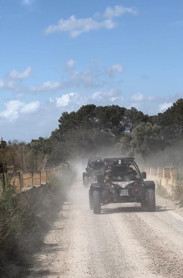 Picture 15 for Activity From East Mallorca: Guided Beach and Mountain Buggy Tour