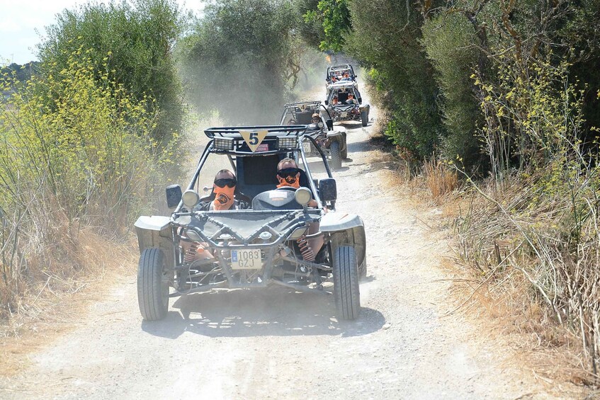 Picture 5 for Activity From East Mallorca: Guided Beach and Mountain Buggy Tour