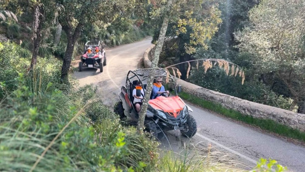 Picture 18 for Activity From East Mallorca: Guided Beach and Mountain Buggy Tour
