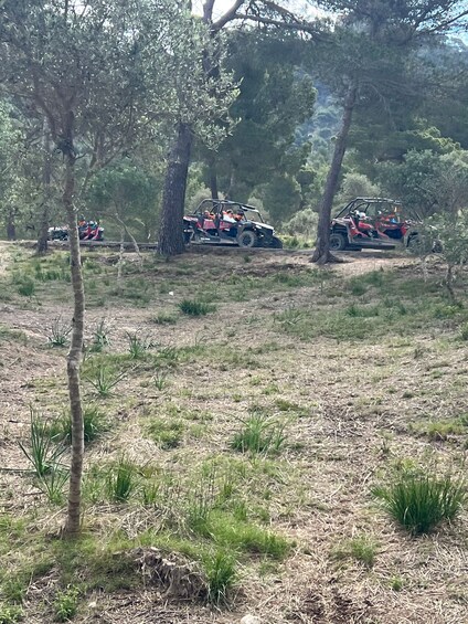 Picture 11 for Activity From East Mallorca: Guided Beach and Mountain Buggy Tour