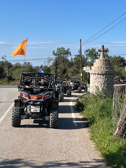 Picture 8 for Activity From East Mallorca: Guided Beach and Mountain Buggy Tour
