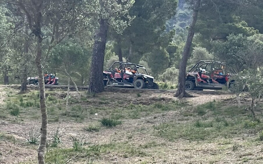 Picture 21 for Activity From East Mallorca: Guided Beach and Mountain Buggy Tour