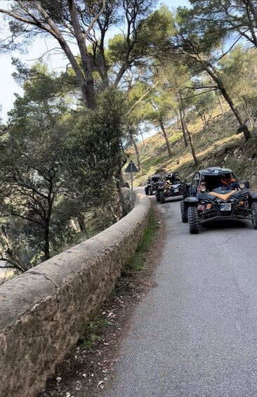 Picture 14 for Activity From East Mallorca: Guided Beach and Mountain Buggy Tour