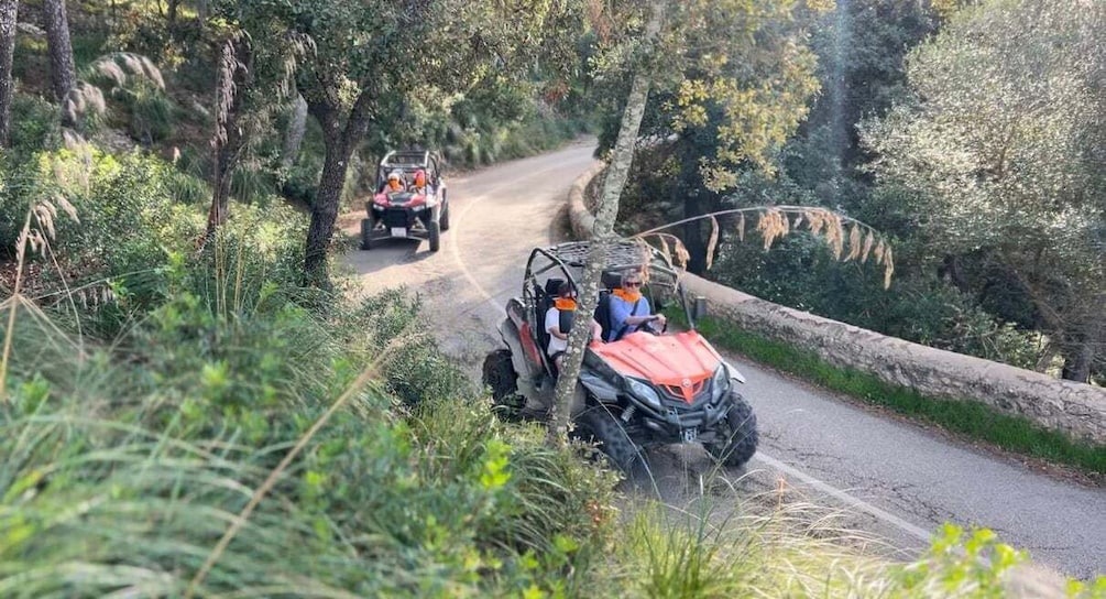 Picture 20 for Activity From East Mallorca: Guided Beach and Mountain Buggy Tour