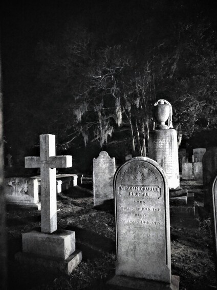 Picture 5 for Activity Charleston: Dark History & Ghost Tour