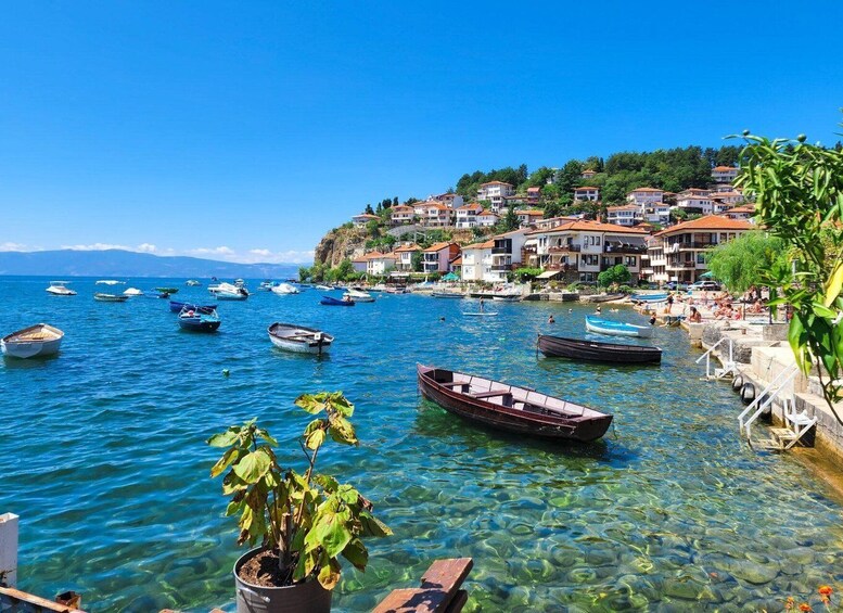 From Tirana, Day Tour: UNESCO site Ohrid Lake