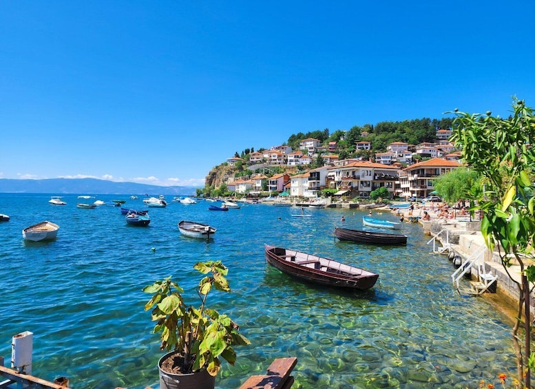 From Tirana, Day Tour: UNESCO site Ohrid Lake