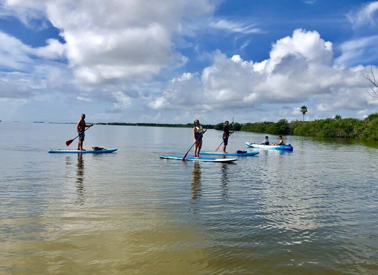 Picture 4 for Activity Merritt Island: Guided Kayak or SUP Tour Along Banana River