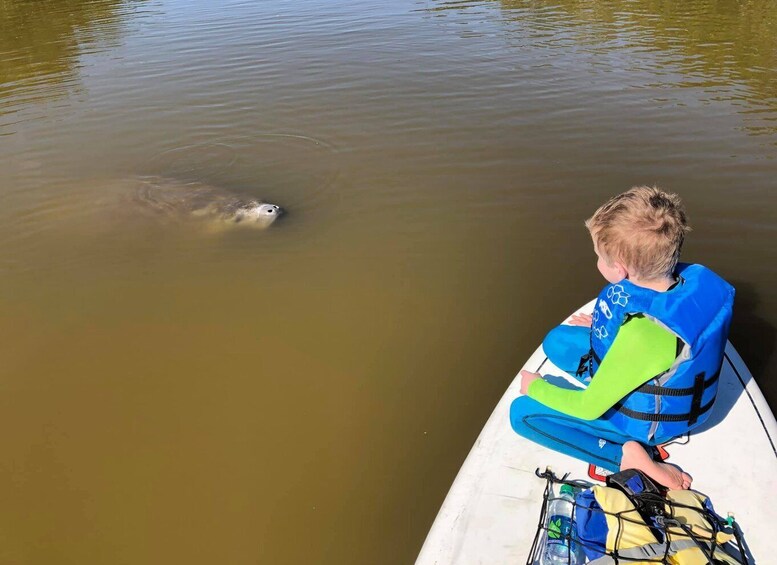 Picture 6 for Activity Merritt Island: Guided Kayak or SUP Tour Along Banana River