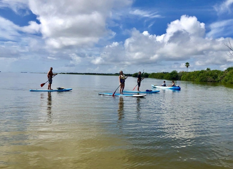 Picture 4 for Activity Merritt Island: Guided Kayak or SUP Tour Along Banana River
