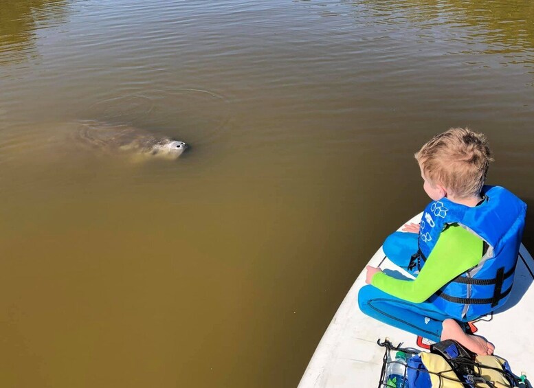 Picture 6 for Activity Merritt Island: Guided Kayak or SUP Tour Along Banana River