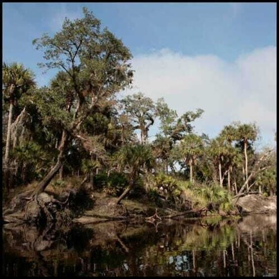 Picture 2 for Activity From Orlando: Kayaking the Econlockhatchee River with Lunch