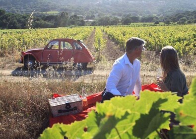 Saint-Tropez: Vintage Car Wine Tour