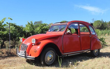 Vintage wine tour in Saint-Tropez