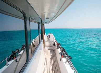 Fra Safaga: Yachtcruise i Orange Bay med privat transport