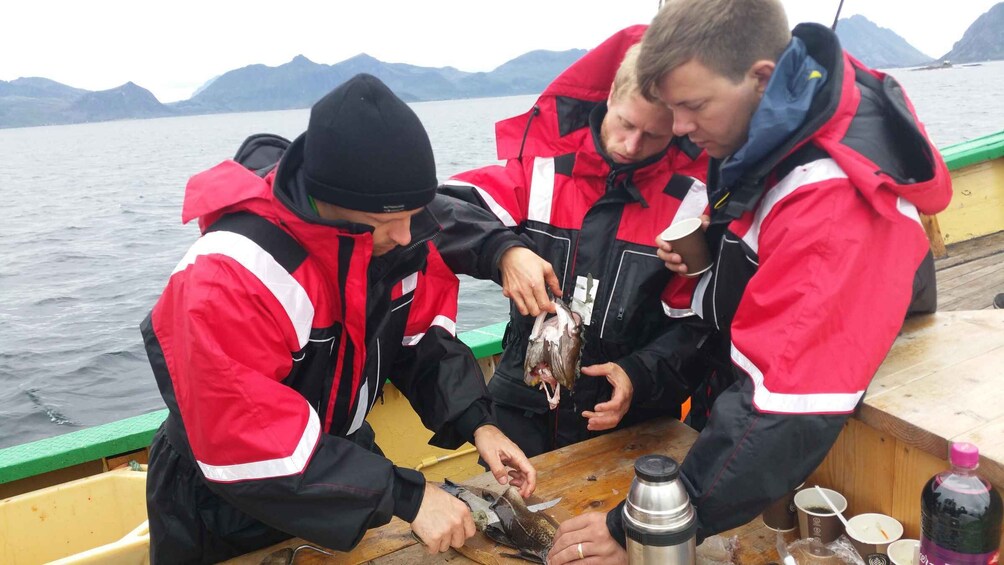 Picture 4 for Activity From Svolvaer: Lofoten Fishing Boat Cruise