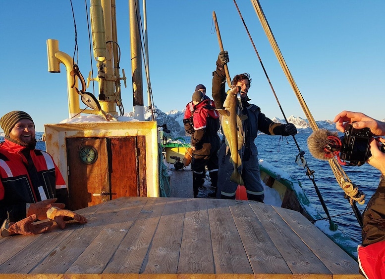 Picture 7 for Activity From Svolvaer: Lofoten Fishing Boat Cruise