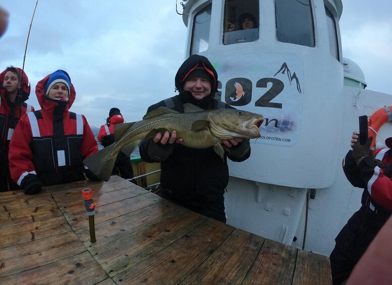 Picture 1 for Activity From Svolvaer: Lofoten Fishing Boat Cruise
