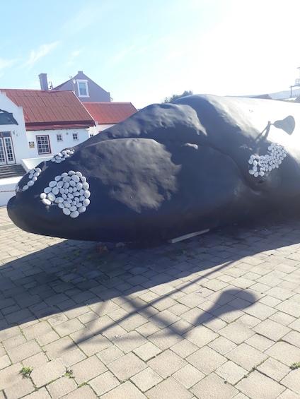 Picture 3 for Activity From Cape Town: Hermanus Whale Watching Tour with Transfer
