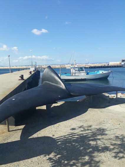 Picture 2 for Activity From Cape Town: Hermanus Whale Watching Tour with Transfer