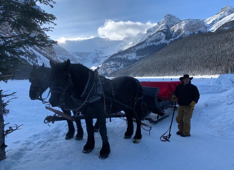 Picture 3 for Activity Lake Louise Winterland Tour