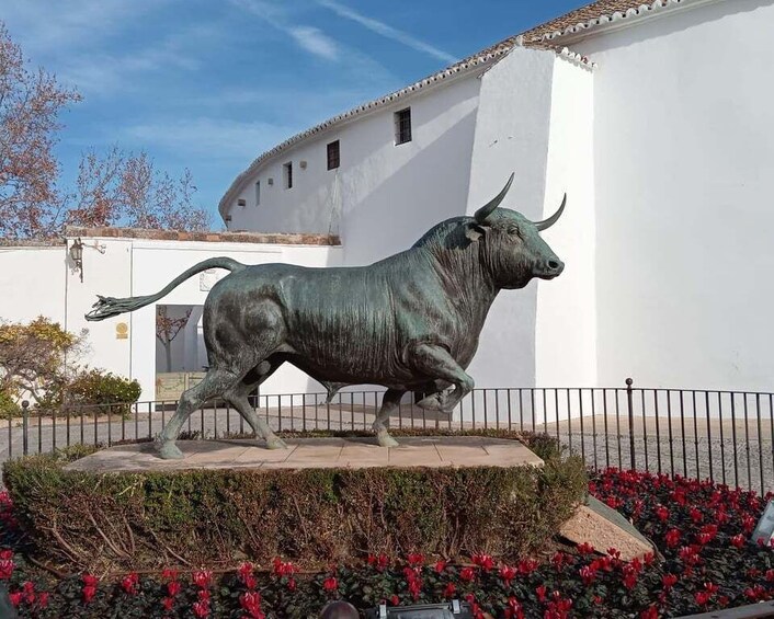 Picture 5 for Activity RONDA: Guided tour with typical local tasting