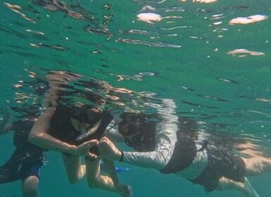 Sanur: Coastal Area Snorkelling Session