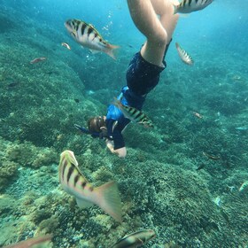 Sanur: Coastal Area Snorkelling Session