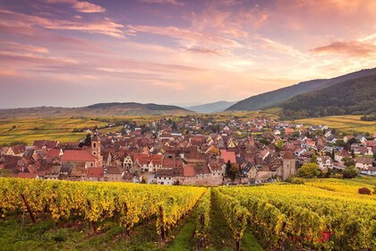 Au départ de Colmar : excursion d’une journée aux 4 merveilles de l’Alsace