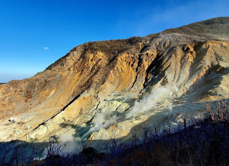 Picture 6 for Activity Hakone: Full Day Private Tour with English Guide