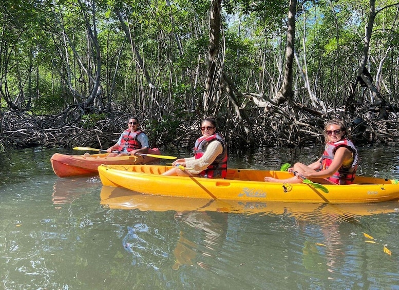 Picture 4 for Activity Los Haitises All One: Kayaking, Hiking, Boat, and Swimming