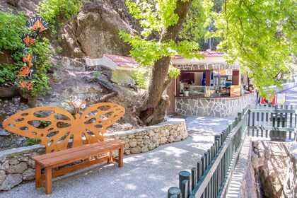 Rhodes : Excursion d'une journée dans la vallée des papillons et la vallée ...