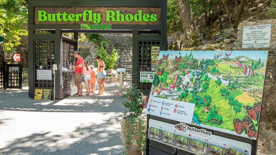 Rhodes: Butterfly Valley and Seven Springs Valley Day Trip