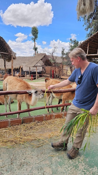 Picture 2 for Activity Cusco: Alpaca and Llama Farm Tour w/ Transfer & Weaving Demo