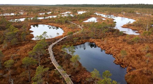 Kemeri nationalpark & Östersjöns kust Tour Bog Boardwalk