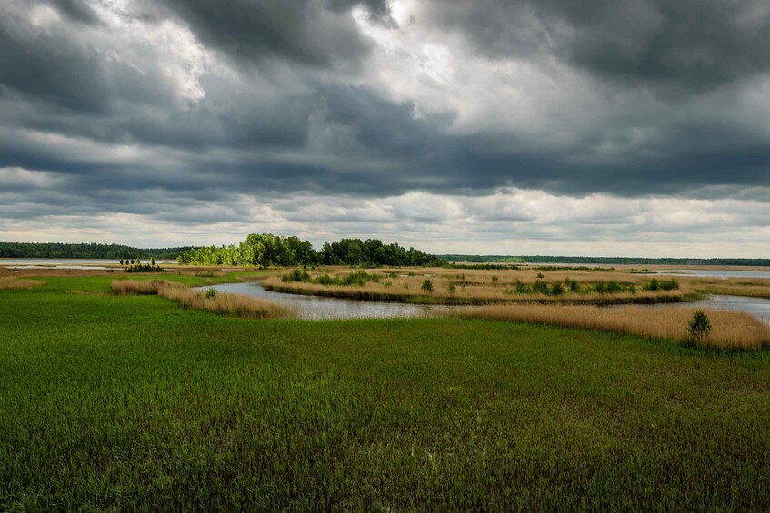 Picture 16 for Activity Kemeri National Park & Baltic Seaside Tour Bog Boardwalk