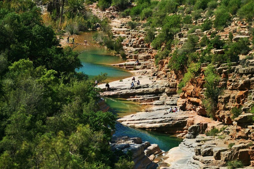 Picture 5 for Activity Agadir: Paradise Valley and Agadir City Tour with Lunch