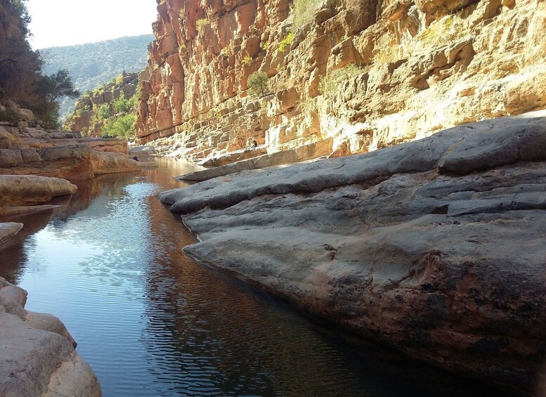 Picture 3 for Activity Agadir: Paradise Valley and Agadir City Tour with Lunch