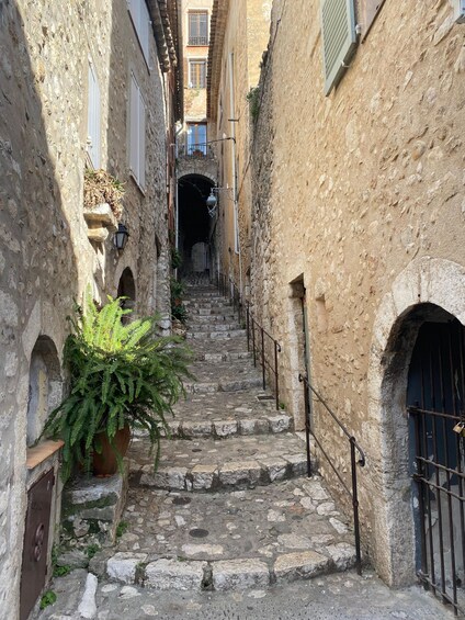 Picture 5 for Activity Depuis Cannes une journée Grasse ,Gourdon, St Paul de Vence