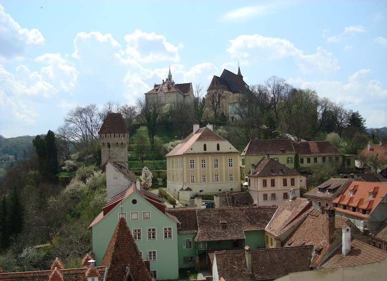 Picture 9 for Activity From Brasov: Guided Sighisoara and Sibiu Private Day Trip