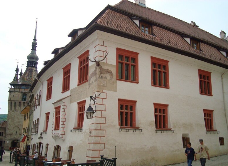 Picture 8 for Activity From Brasov: Guided Sighisoara and Sibiu Private Day Trip