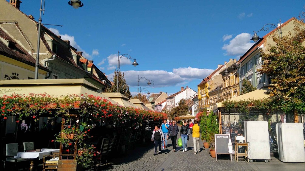 Picture 6 for Activity From Brasov: Guided Sighisoara and Sibiu Private Day Trip