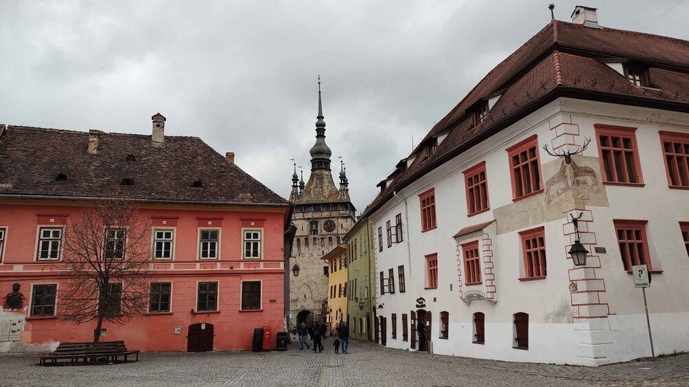 Picture 16 for Activity From Brasov: Guided Sighisoara and Sibiu Private Day Trip