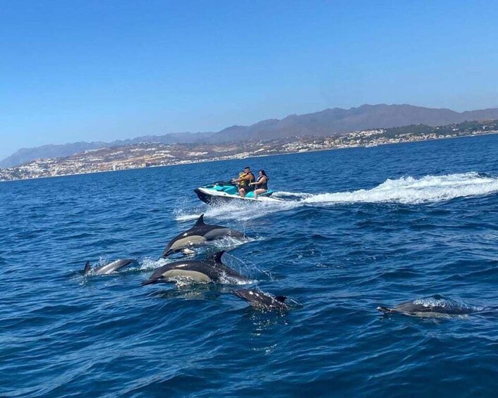 Picture 3 for Activity Fuengirola: Fantastic Dolphin Watching Yacht Tour