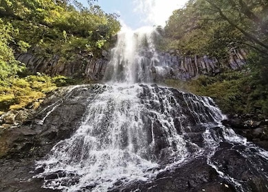 Mauritius: Waterfall & Nature South West Day Tour