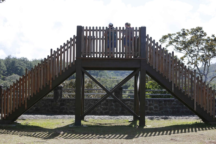 Picture 7 for Activity Mauritius: Waterfall & Nature South West Day Tour