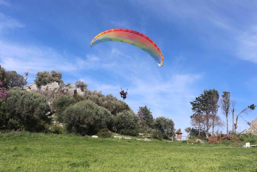Picture 4 for Activity Paragliding Flight in Paestum